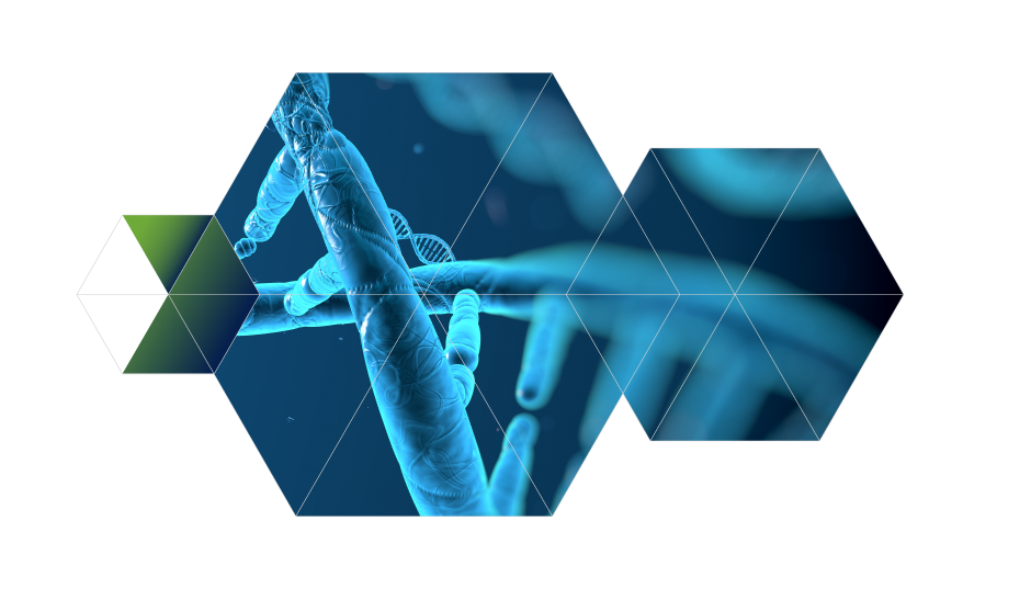 Supporting image