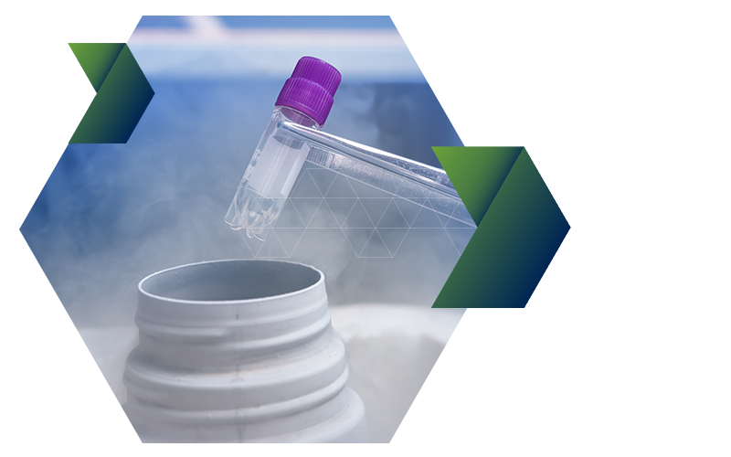 Temperature-Controlled Storage for Medications and Vaccines - Biolife  Solutions